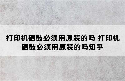 打印机硒鼓必须用原装的吗 打印机硒鼓必须用原装的吗知乎